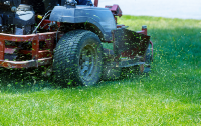 Landscaping for Businesses