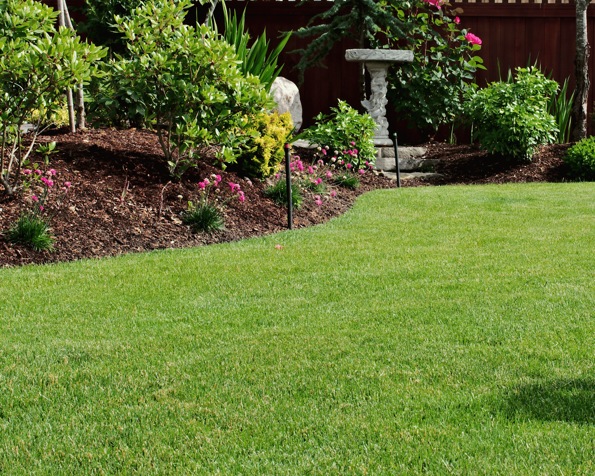 Healthy green grass after professional weed prevention service. Local landscaping company removing weeds from Fort Wayne yard.
