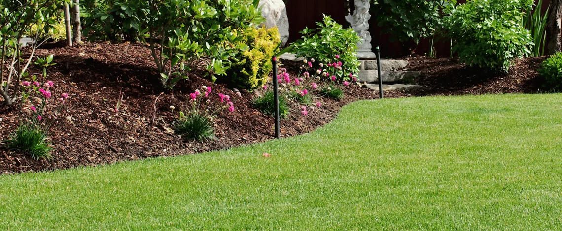 Stop Weeds Before They Start 2 Weed Control & Prevention Services
