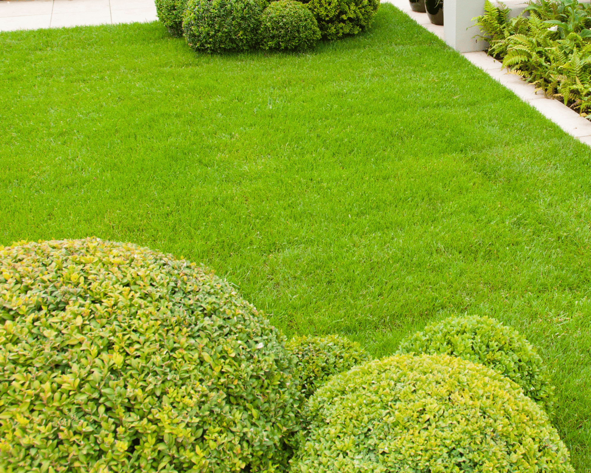 Professional Landscape Design in Fort Wayne