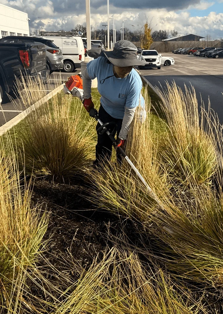 commercial lawn maintenance services