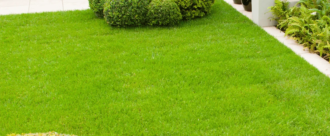 Landscaping for Businesses 3 Innovative Landscape Design