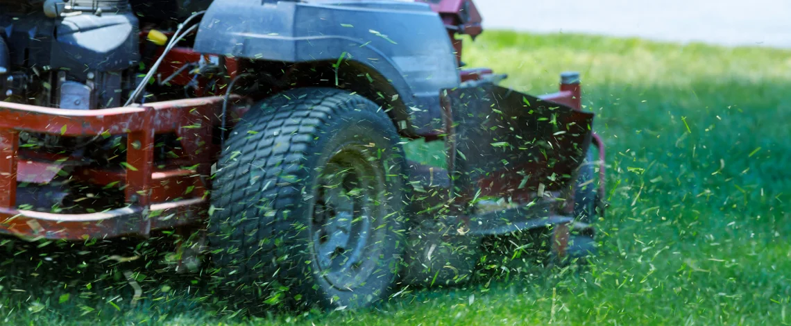Landscaping for Businesses
