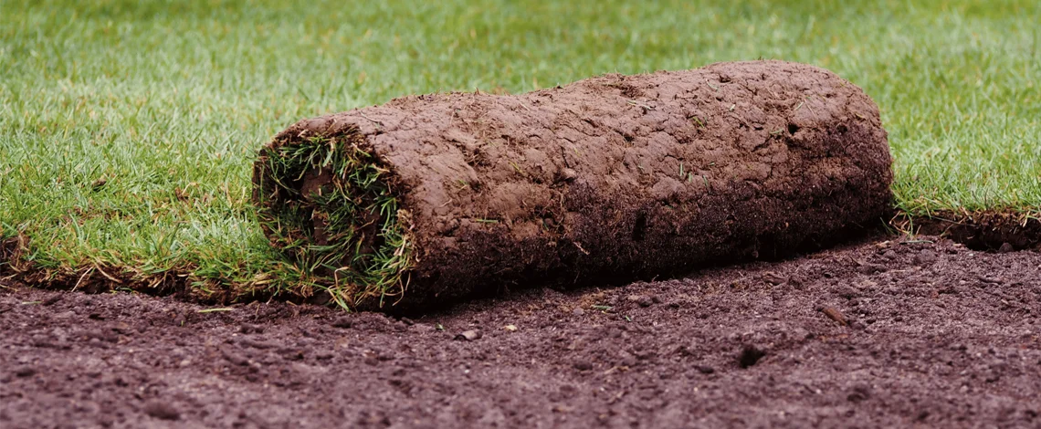 Spring Into Curb Appeal 2 Turf and Sod Installation