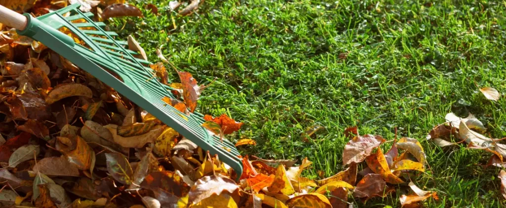 The Fort Wayne Homeowner's Complete Spring & Fall Yard Cleanup Checklist 7 fort wayne homeowner's spring and fall yard cleanup