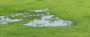 6 Warning Signs Your Fort Wayne Yard Needs a French Drain And What Happens If You Ignore Them signs your fort wayne yard needs a french drain