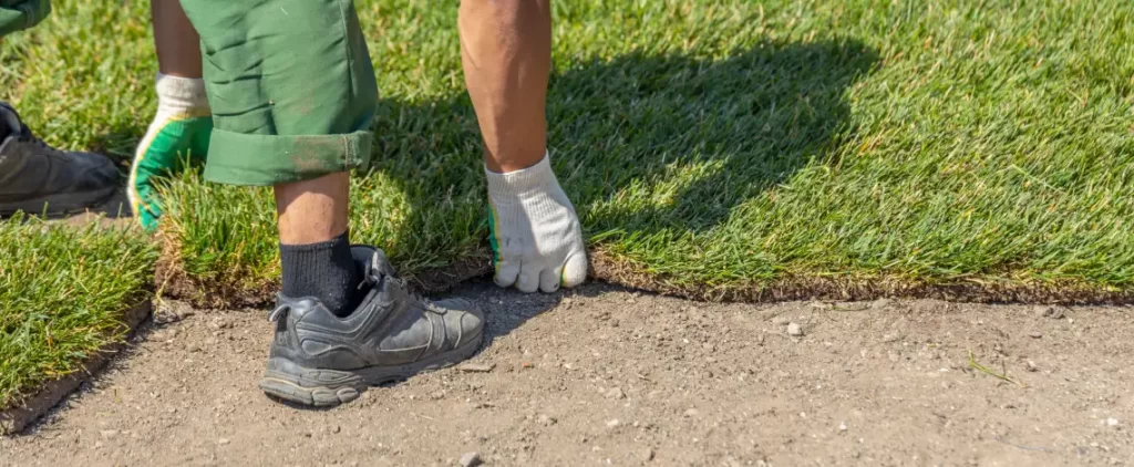 Sod vs. Seed vs. Hydroseeding: Which New Lawn Installation Method Is Right in Fort Wayne 8 sod vs seed vs hydroseeding in fort wayne