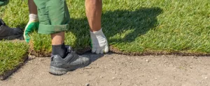 Sod vs. Seed vs. Hydroseeding: Which New Lawn Installation Method Is Right in Fort Wayne sod vs seed vs hydroseeding in fort wayne